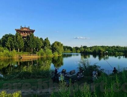 足球小于 2.5的比分-绿茵场上的低分博弈，解码足球小于2.5比分的艺术与策略